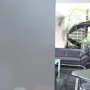 sichtschutzfolien-silber-frost_40.jpg?ts=1684754161